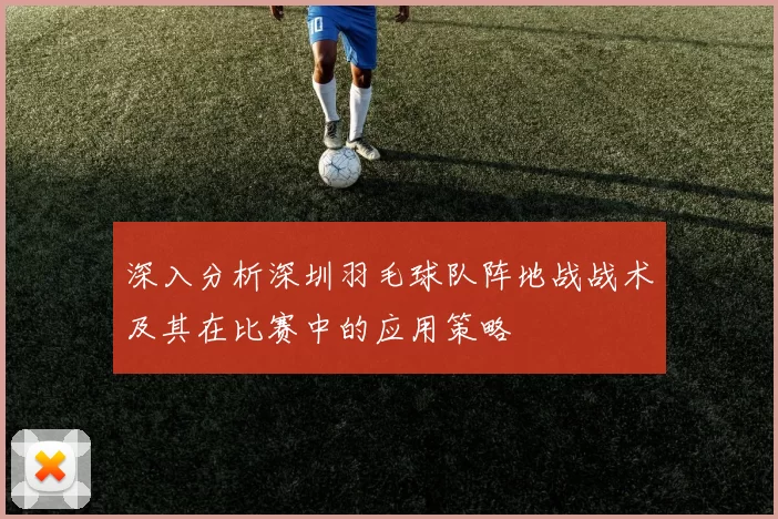 深入分析深圳羽毛球队阵地战战术及其在比赛中的应用策略